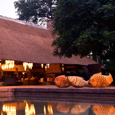 11 Day Zambia Classic
