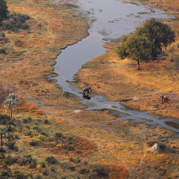 9 Nights Botswana Highlights