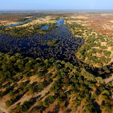 9 Nights Botswana Highlights