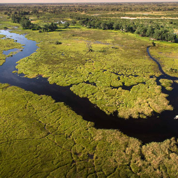 9 Days Okavango Budget Botswana Breakaway