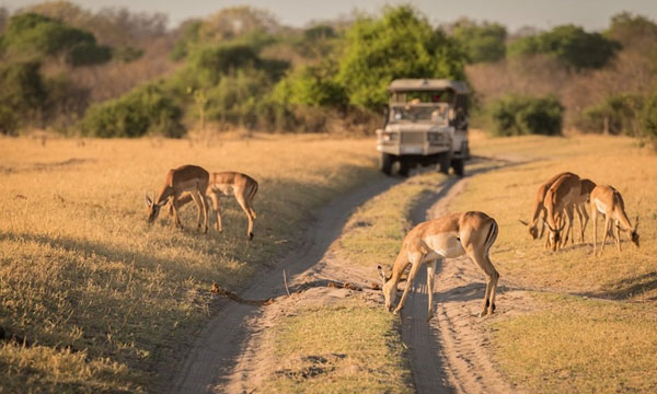 9 Days Taste of Africa