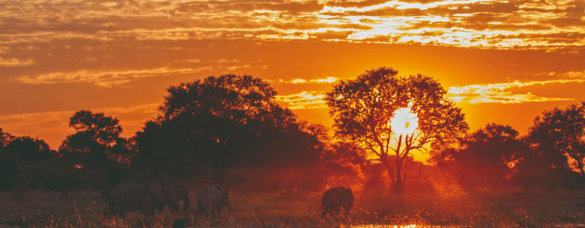 9 Day The Magic of Botswana