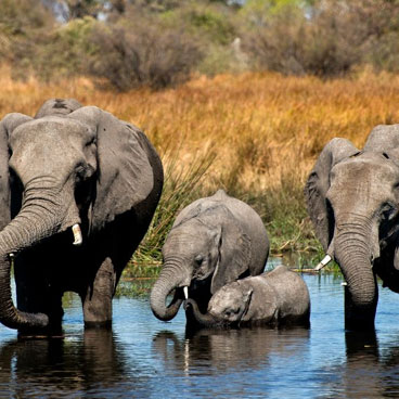 9 Day Victoria Falls and Botswana Adventure Tour