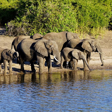 9 Day Victoria Falls and Botswana Adventure Tour