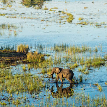9 Day Victoria Falls and Botswana Adventure Tour