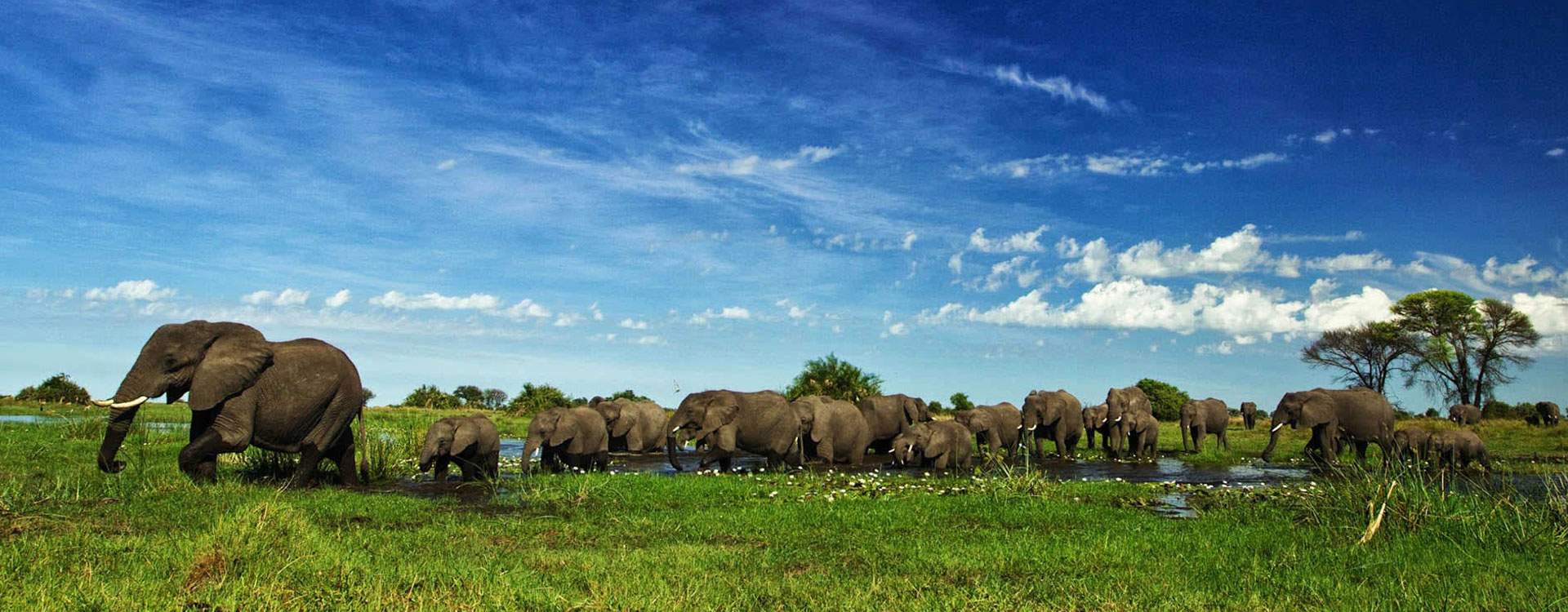 9 Nights Botswana Highlights