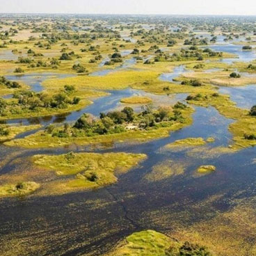 9 Nights Botswana Highlights