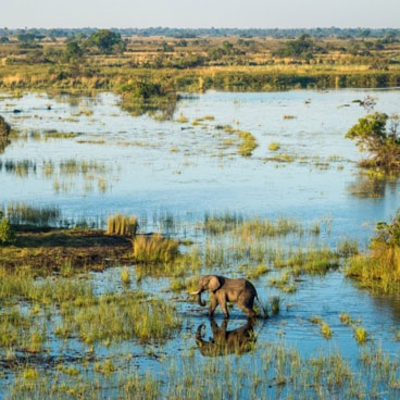 9 Nights Botswana Highlights