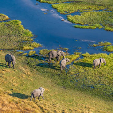 9 Nights Botswana Highlights