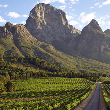 6 Days Deluxe Kruger And Cape Winelands Package