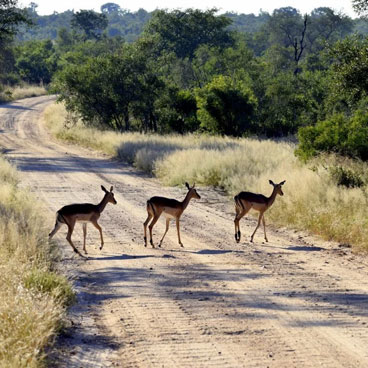 3 Days Wilderness Adventure Safari