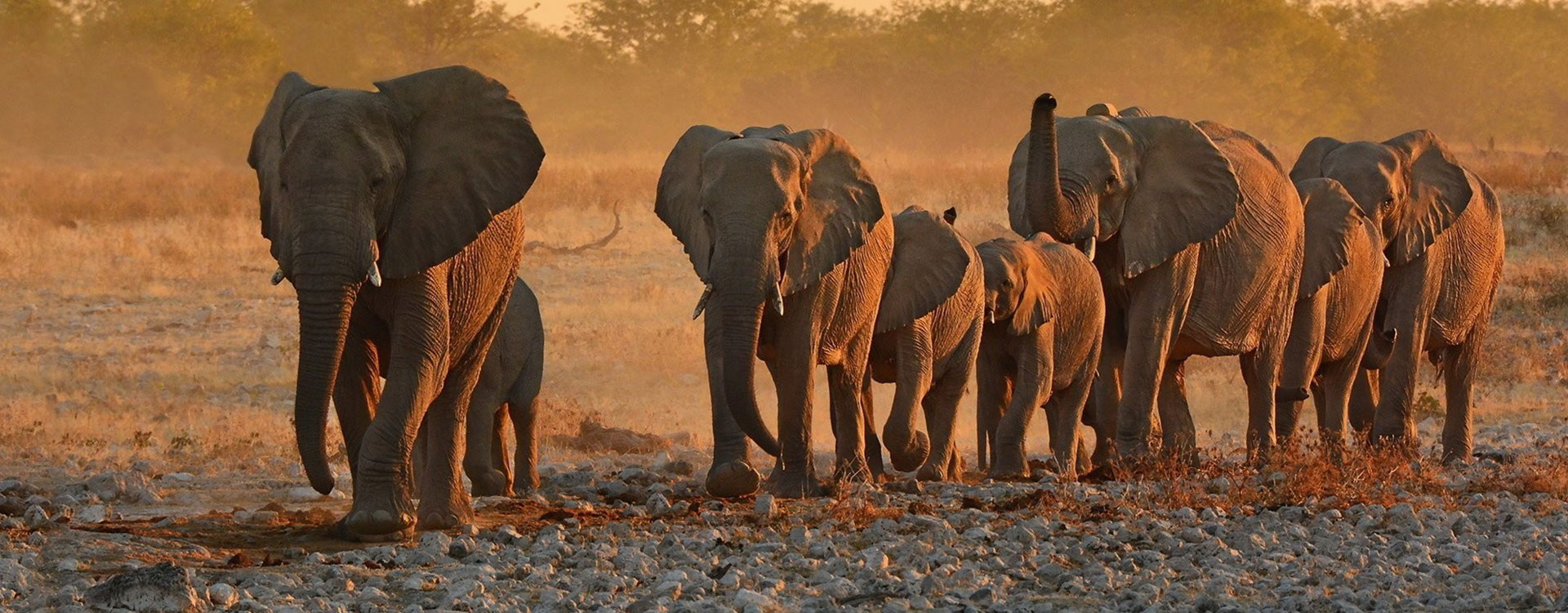 African Destinations