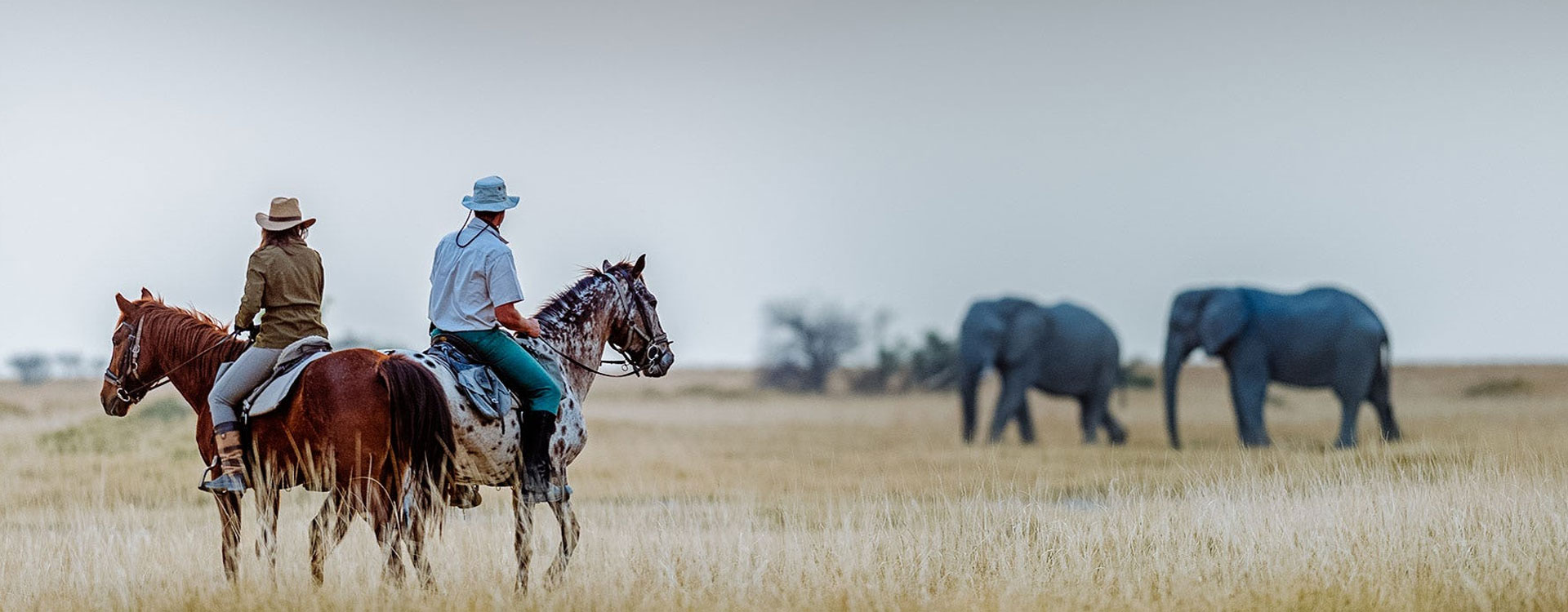 African Horseback Safari