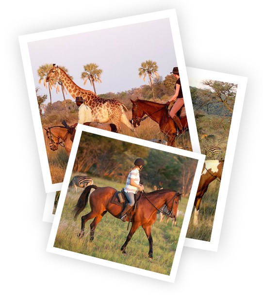 African Horseback Safari