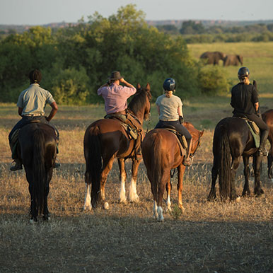 African Horseback Safari