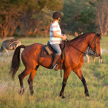 African Horseback Safari