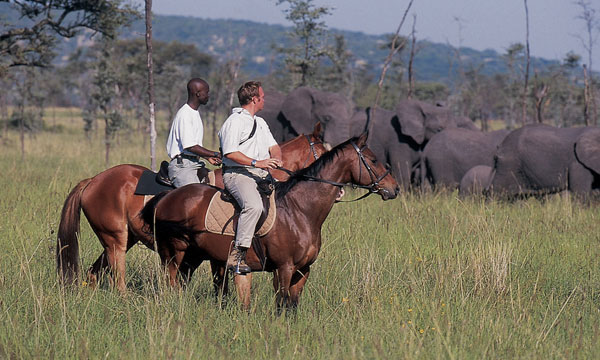 African Horseback Safari