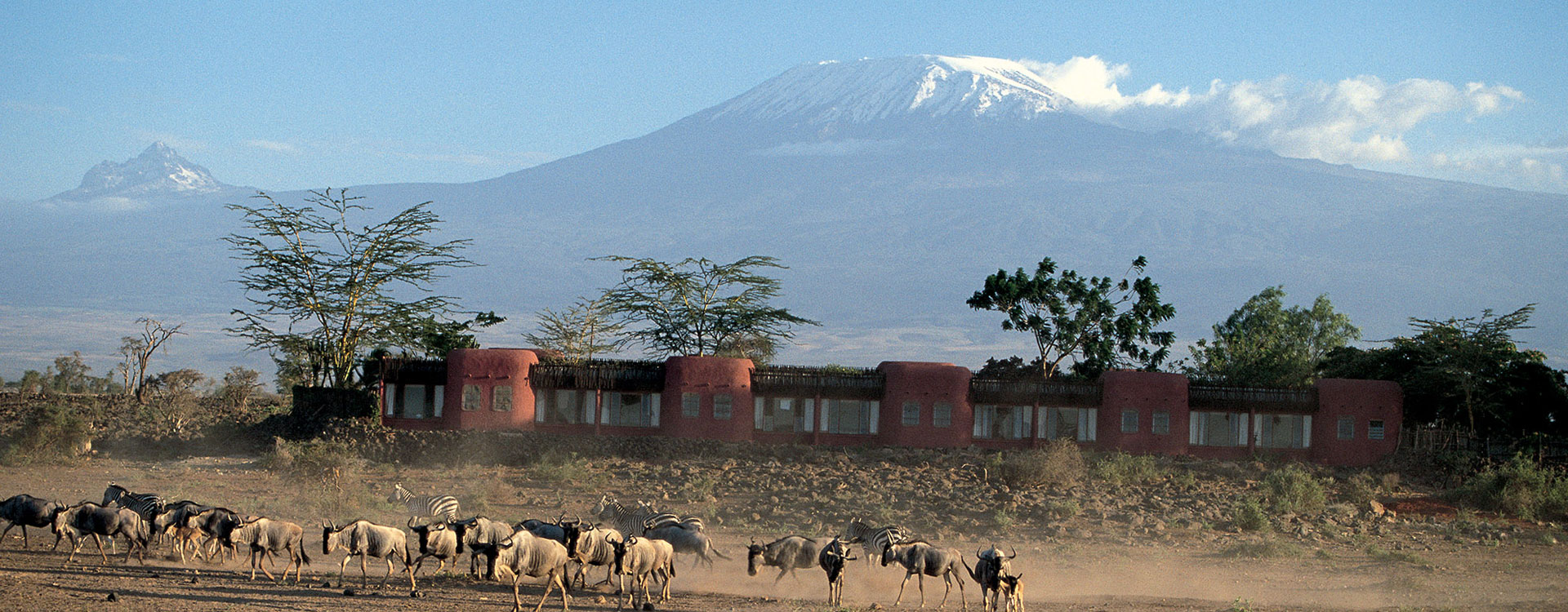 Amboseli Serena
