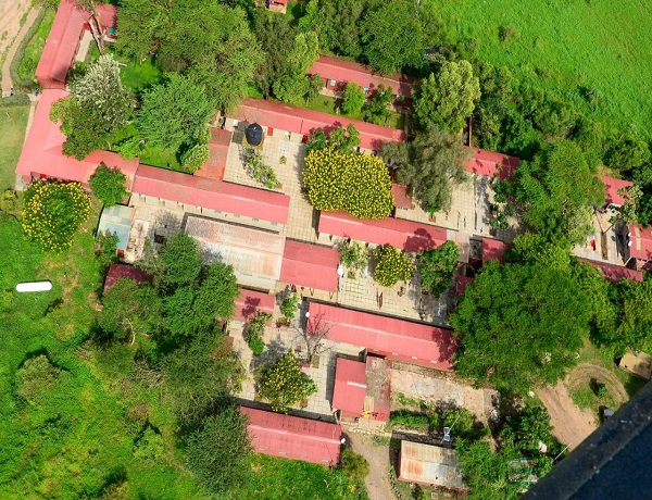 Amboseli Serena