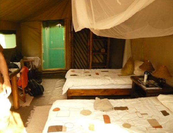 Audi Safari Camp