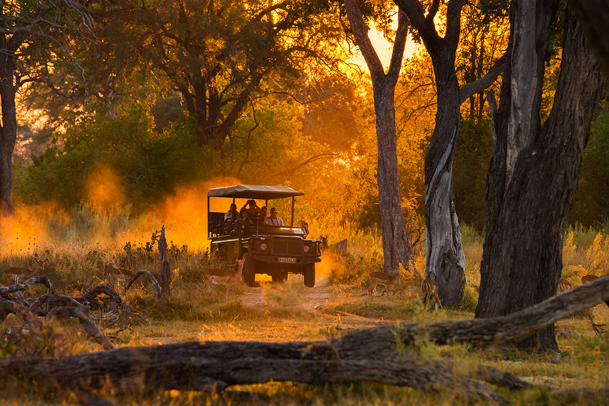 Botswana Tourism