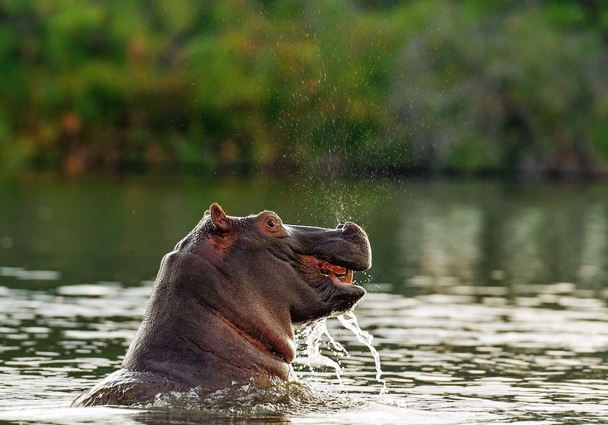 Best Time To Visit Botswana