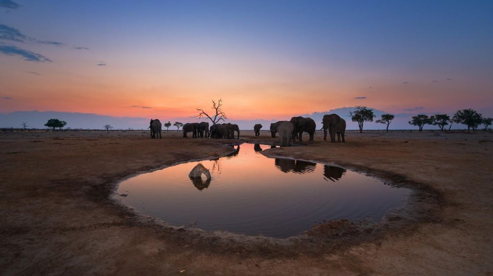 Best Time To Visit Chobe National Park