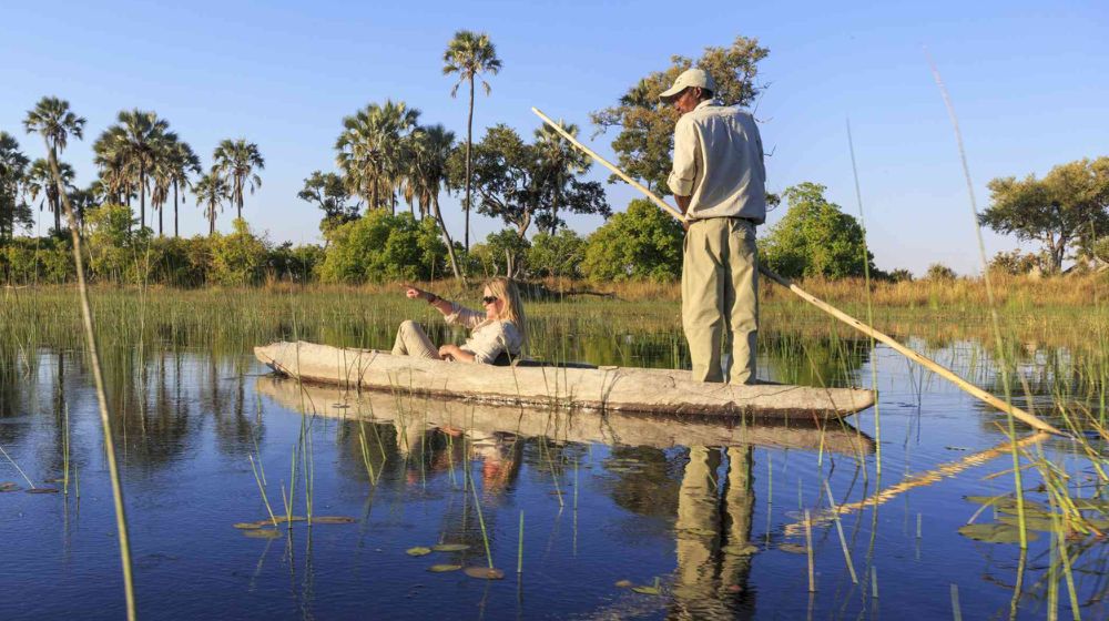  Best Time To Visit Okavango Delta