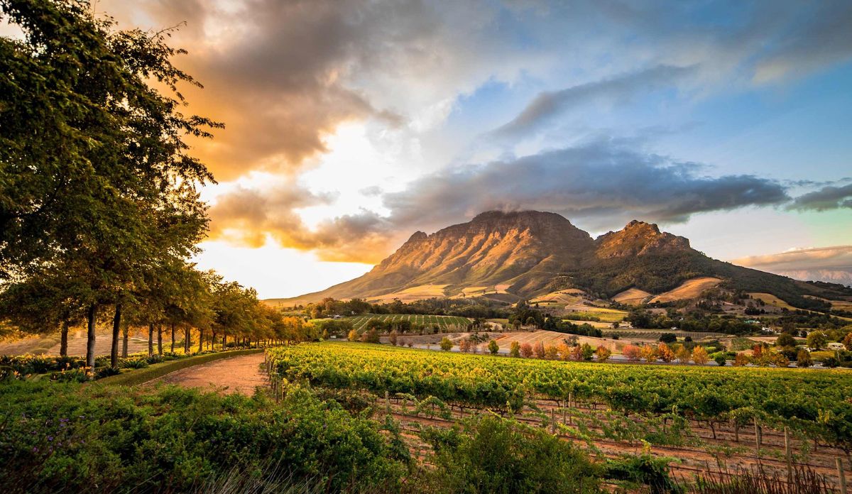 Best Time To Visit South Africa