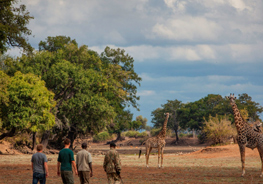 Best Time To Visit Zambia