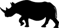black rhino