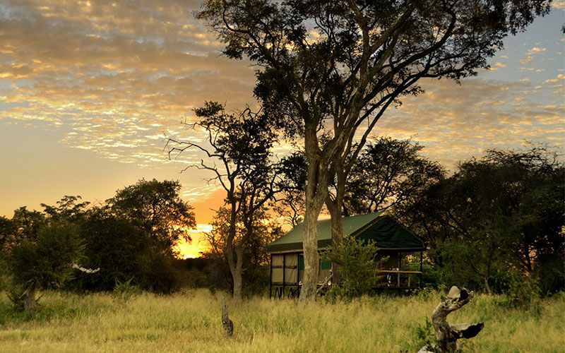 Bomani Tented Camp