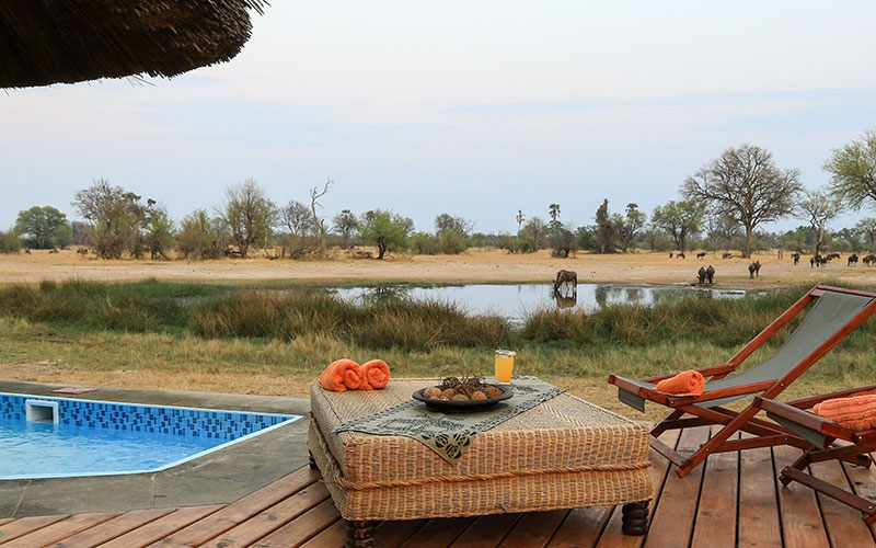 Bomani Tented Camp