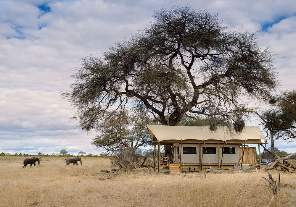 Bomani Tented Camp