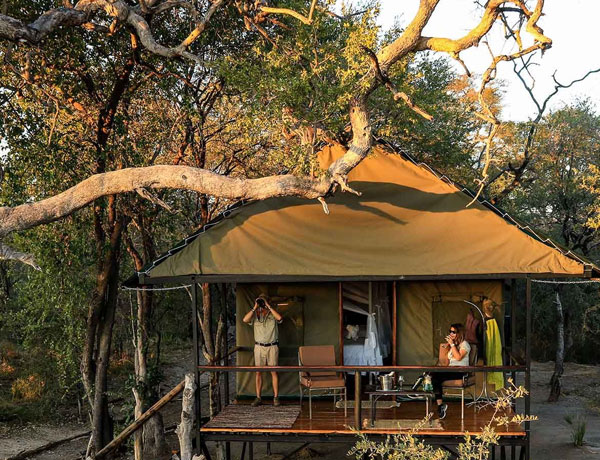 Bomani Tented Camp