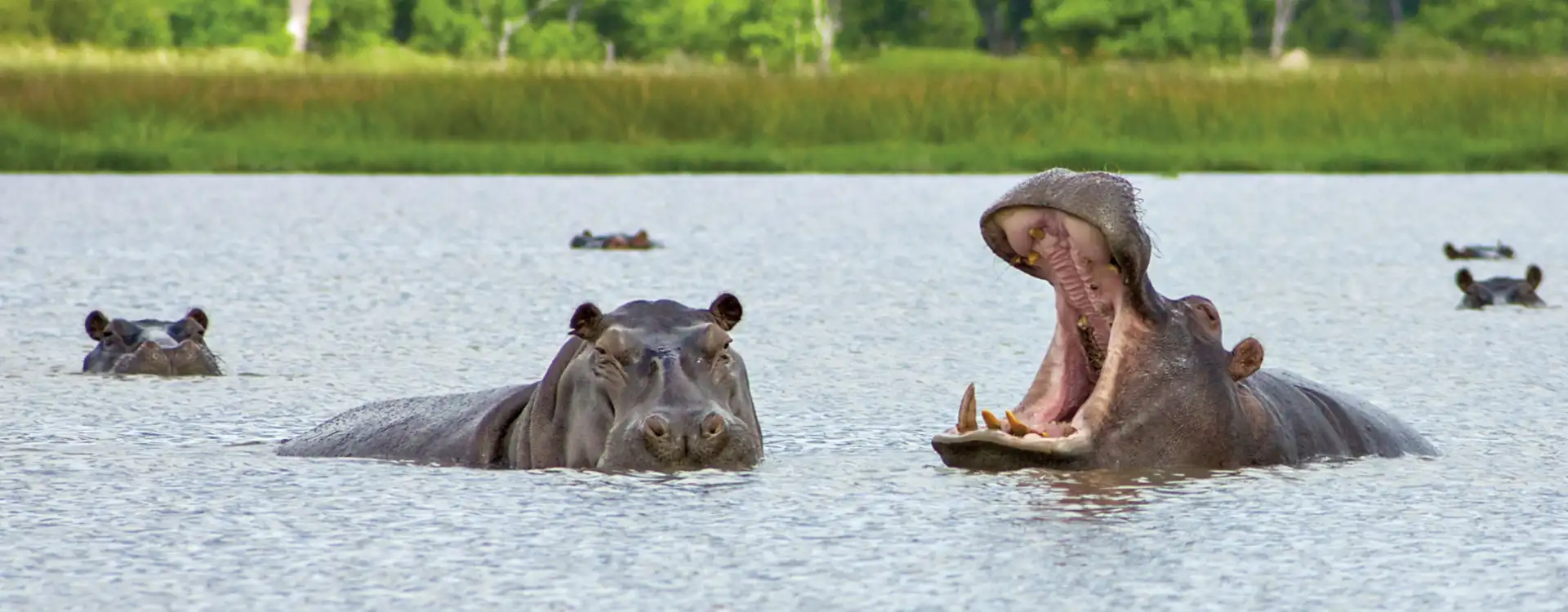 Zambia Safari Packages