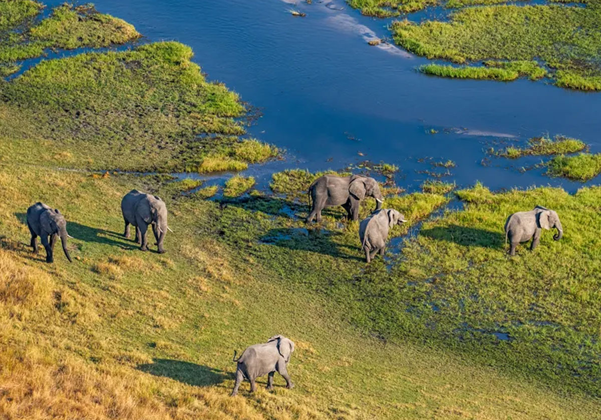 Botswana Travel Requirements