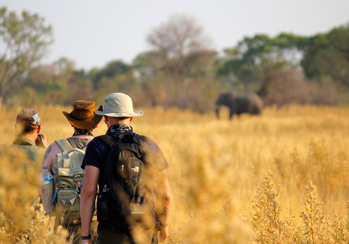 Botswana Travel Requirements