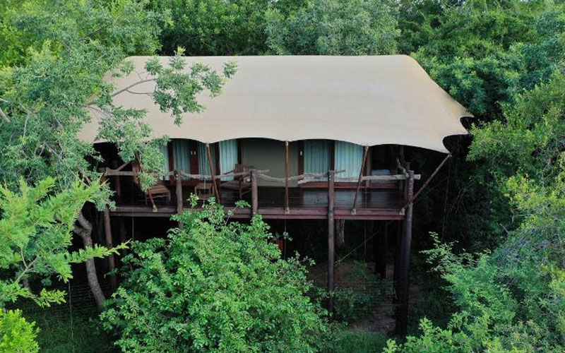 Buffalo Camp