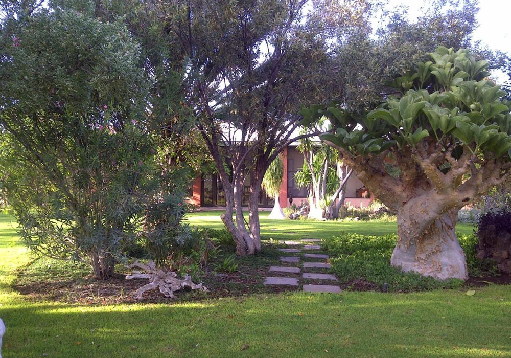 Buschberg Guestfarm
