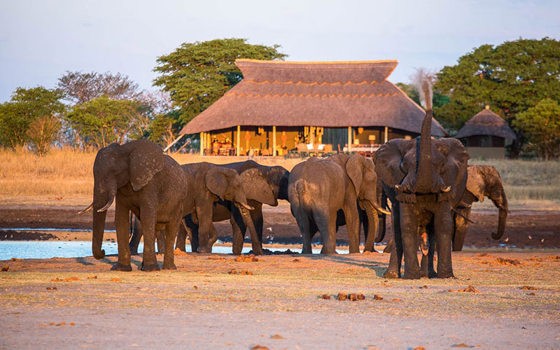 Camp Hwange