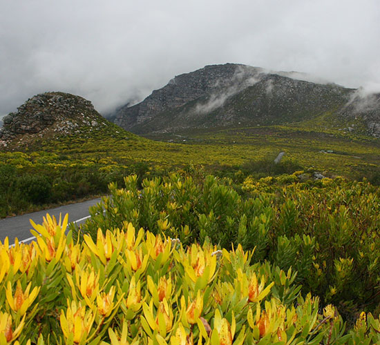 Silver mine Nature Reserve