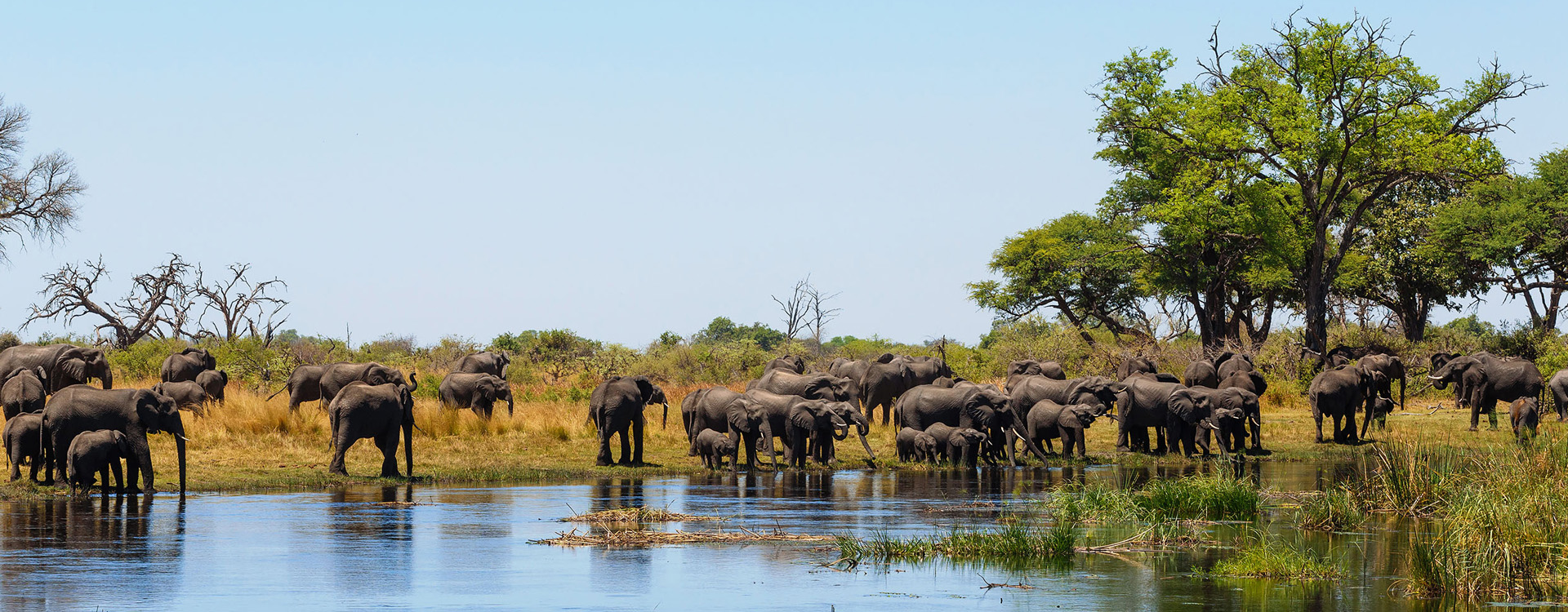 Caprivi