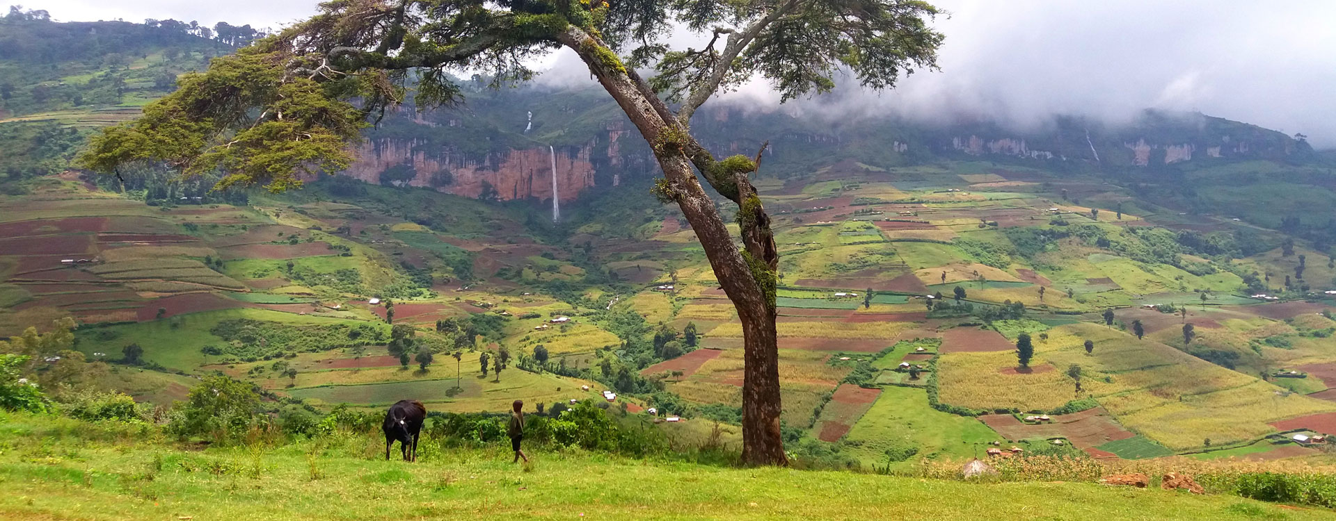 East Africa Destination