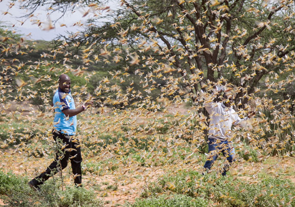 East Africa Destination- Falcon Safari