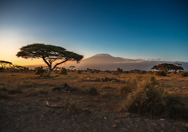 East Africa Destination- Falcon Safari