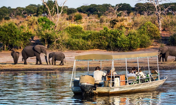 Chobe Day Trips