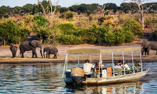 Chobe Day Trips