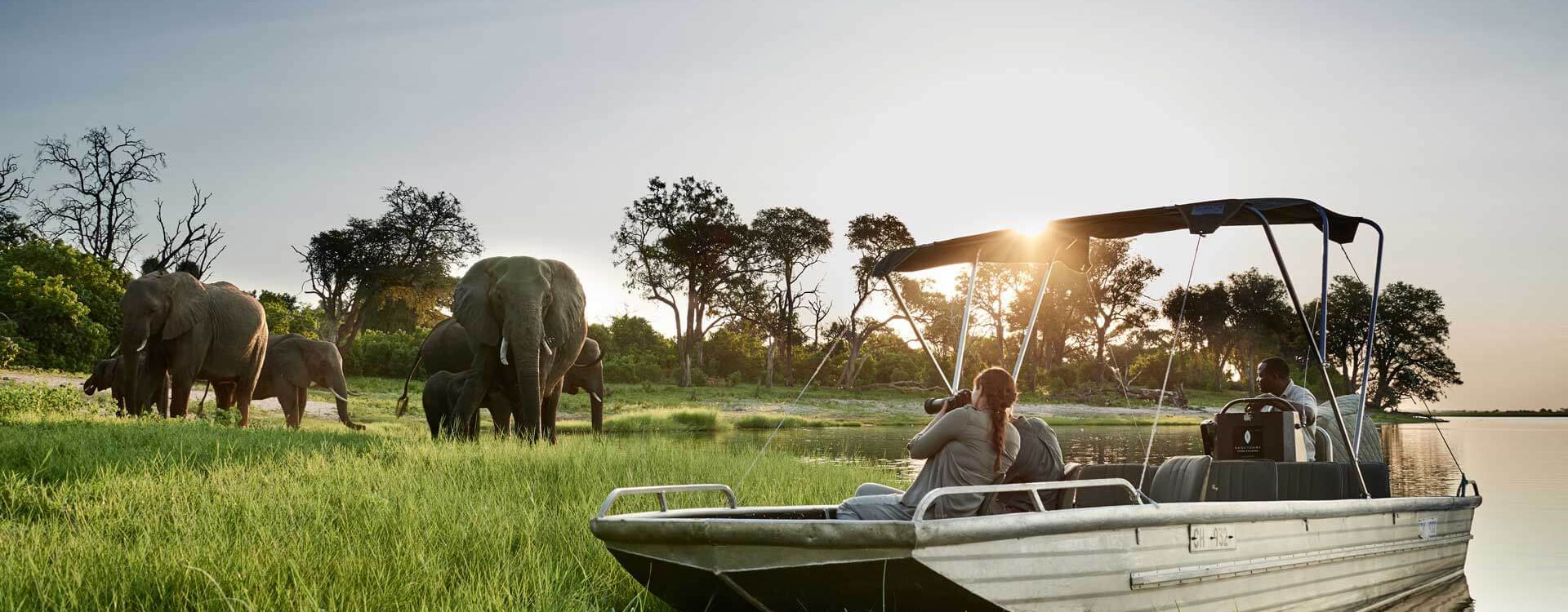 Chobe National Park Safari Cost