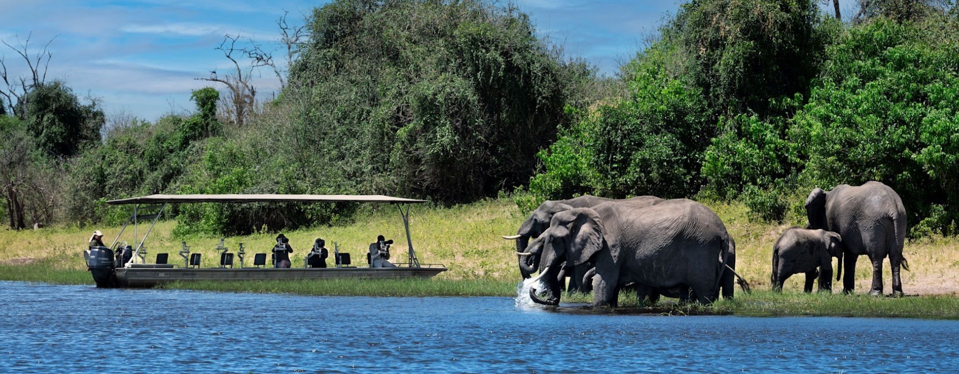 Chobe National Park Wildlife